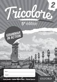 TRICOLORE 5TH EDITION GRAMMAR IN ACTION BOOK 2