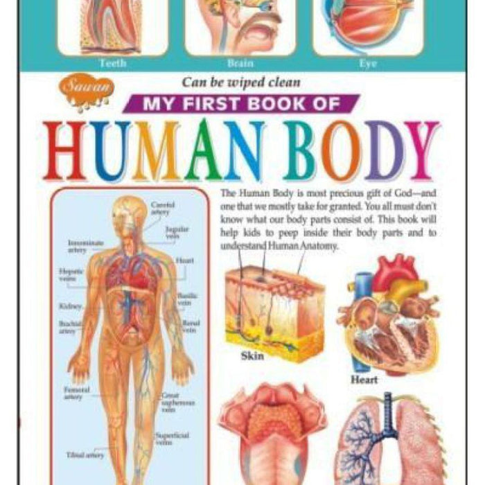 My First Book Of Human Body