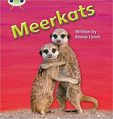 BUG CLUB PHONICS NON-FICTION SET 22 MEERKATS