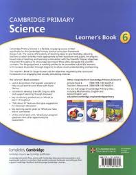 Cambridge Primary Science Stage 6 Learner's Book 6