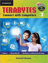 TERABYTES CONNECT WITH COMPUTERS 3