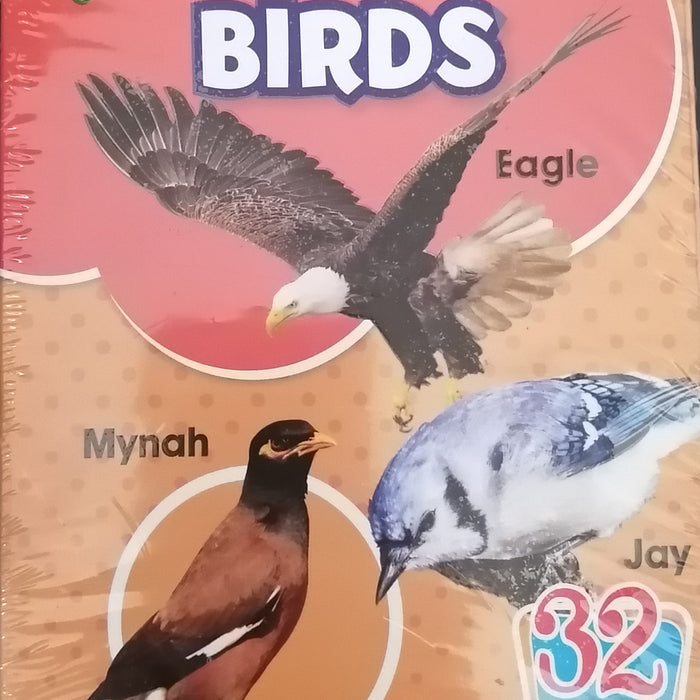 GOLDEN FLASH CARDS BIRDS