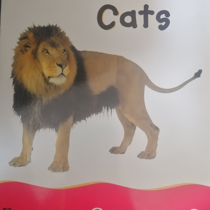 LONGMAN PICTURE BOOK CATS COUNT TO 8