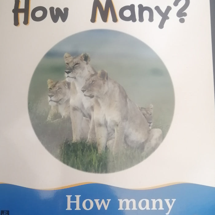 LONGMAN PICTURE BOOK HOW MANY? HOW MANY IN THE GROUP?