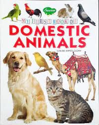 SAWAN MY FIRST BOOK OF DOMESTIC ANIMALS CAN BE WIPED CLEAN