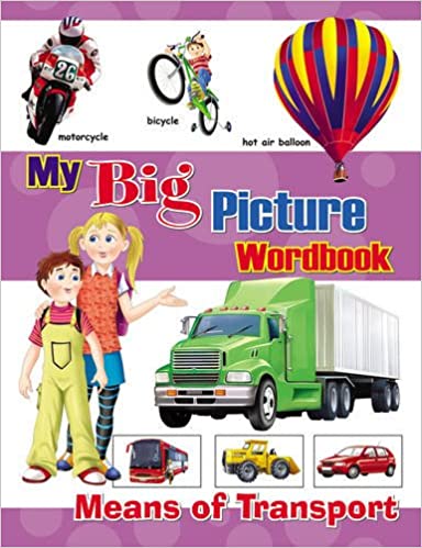 MY BIG PICTURE WORDBOOK-SERIES